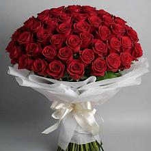 Букет 101 Красная роза Блэк Мэджик в Никольском Астраханской области