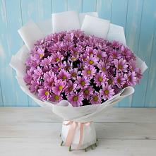 Букет цветов из:  Хризантемы в Никольском Астраханской области
