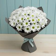 Букет цветов из:  Хризантемы в Никольском Астраханской области