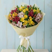 Букет цветов из:  Альстромерии в Никольском Астраханской области