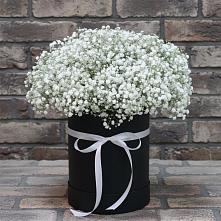 Цветочная композиция из Гипсофила в шляпной коробке #REPLACE_PRED# Никольском Астраханской области