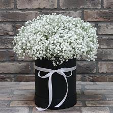 Цветочная композиция из Гипсофила в шляпной коробке в Никольском Астраханской области