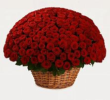 Премиум букет из: Розы в Никольском Астраханской области