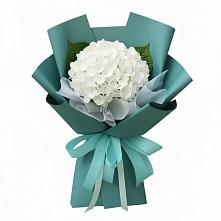 Букет цветов из:  Гортензия в Никольском Астраханской области